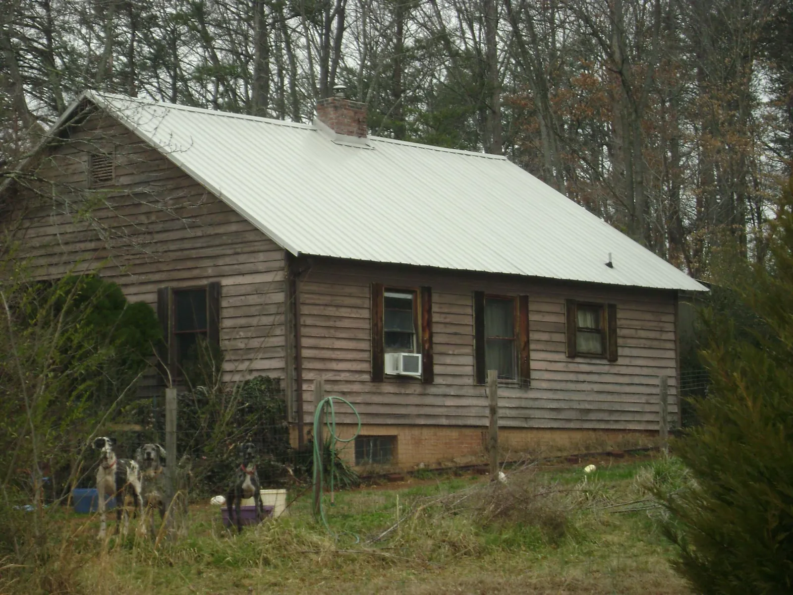White metal roof on an old wood sided farmhouse, from a Asphalt Shingle Roof Repair job in Ramer